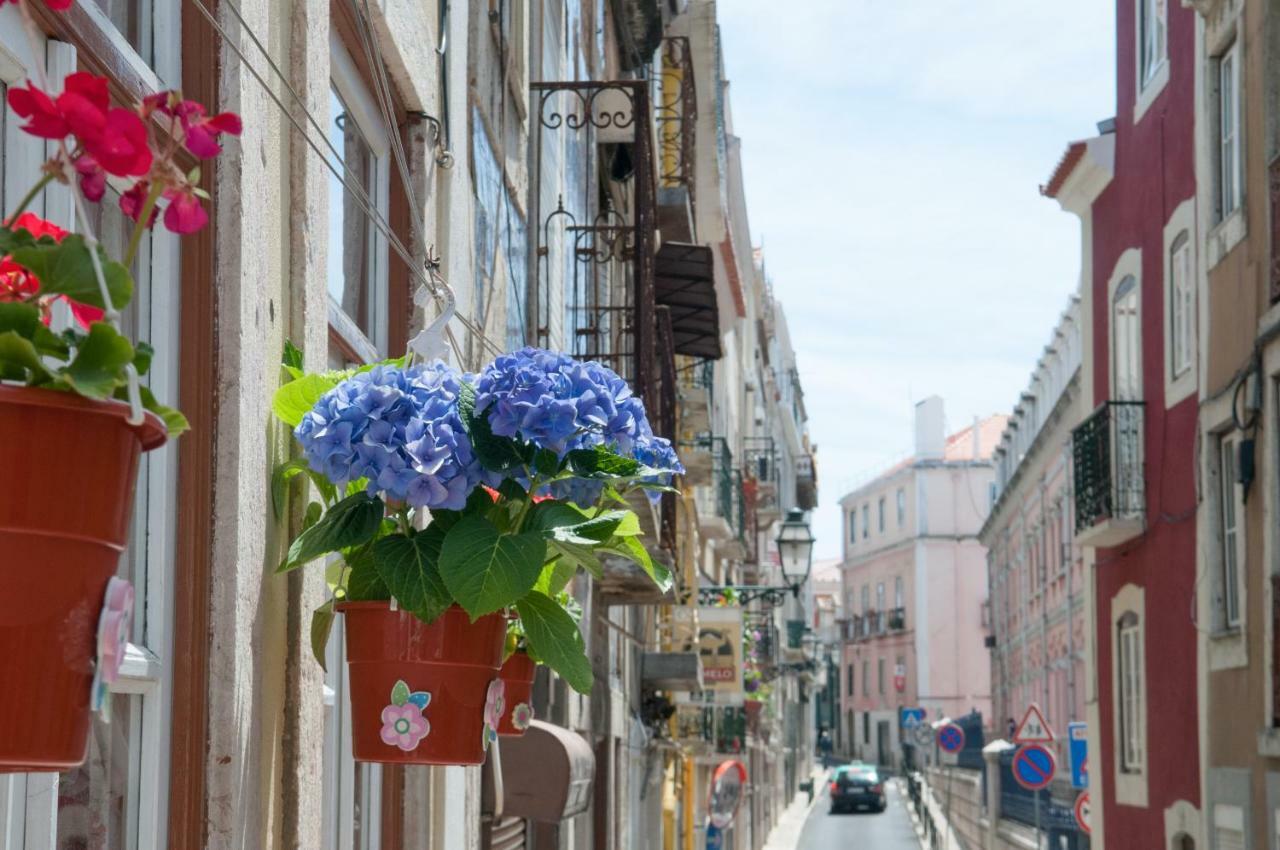 Pretty Views Daire Lisboa Dış mekan fotoğraf
